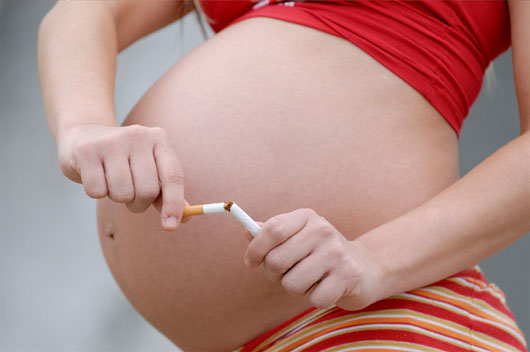 Picture 2 of Smoking pregnant women make the baby's brain smaller