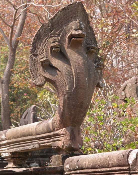 Picture 2 of Snake and custom of worship of Vietnamese people