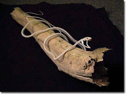 Picture 1 of Snake bones