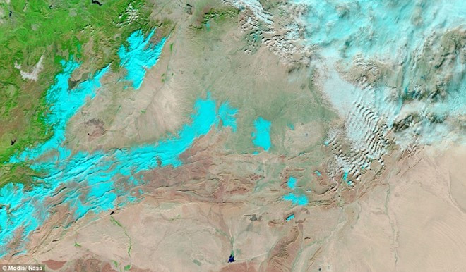 Picture 4 of Snow falls in the Sahara desert from the universe
