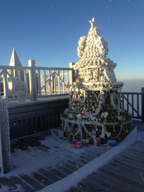 Picture 1 of Snow ice covered white Fansipan peak and Hoang Lien forest