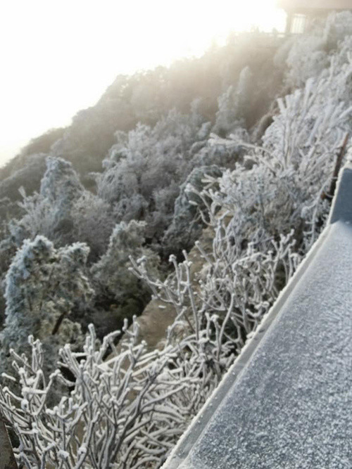 Picture 6 of Snow ice covered white Fansipan peak and Hoang Lien forest