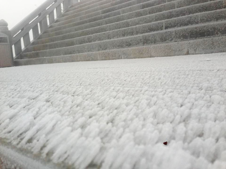 Picture 9 of Snow ice covered white Fansipan peak and Hoang Lien forest