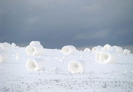 Picture 4 of Snow rolled itself into a tube