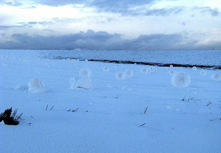 Picture 5 of Snow rolled itself into a tube