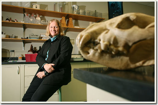Picture 3 of Sociality and cunningness of hyenas