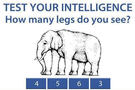 Picture 3 of Solution 'Will intelligence be changed over time?'