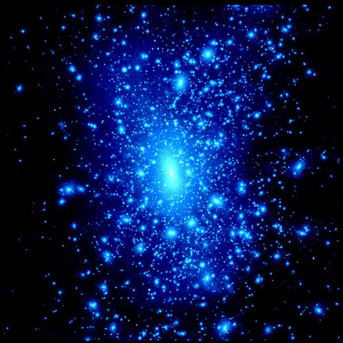 Picture 8 of Solve the 9 biggest mysteries of science in the 21st century