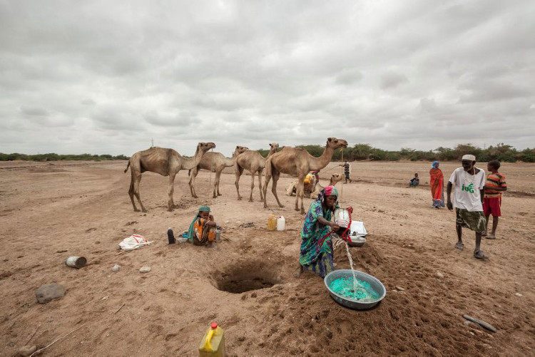 Picture 5 of Somalia drought: 110 people died in 48 hours