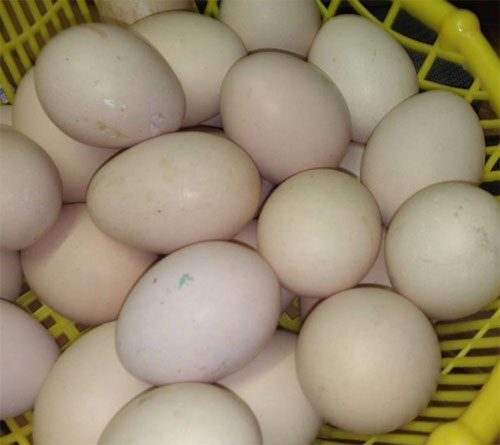 Picture 4 of Some mistakes in susceptible eating