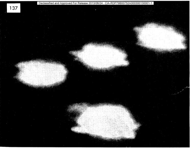 Picture 8 of Some pictures of the 13 million secret documents about the CIA UFO