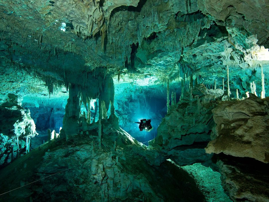 Picture 10 of Son Doong Cave has a surreal beauty scene on earth