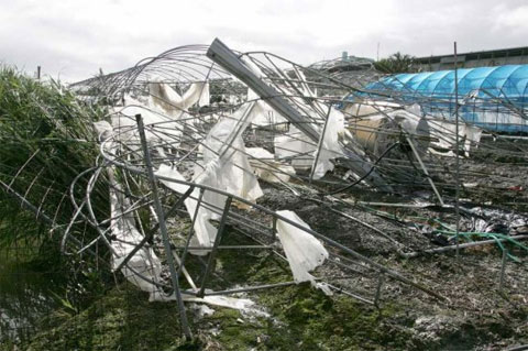 Picture 4 of Songda storms into southern Japan