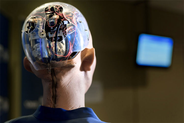 Picture 2 of Sophia citizen robot announced to want to get married and have children