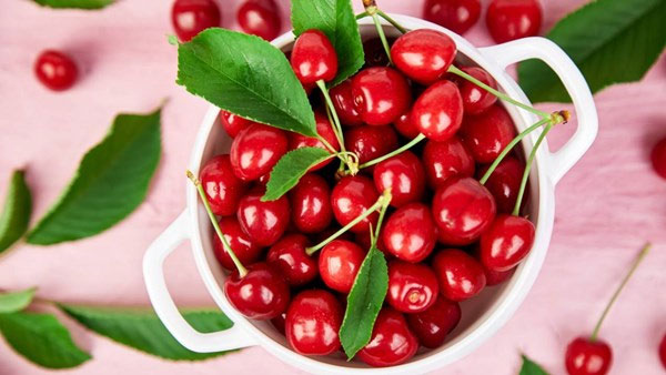Picture 1 of Sour cherry 'super food' helps increase memory, lower blood pressure and cholesterol