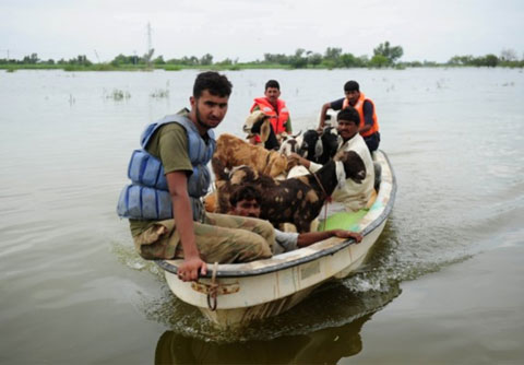Picture 8 of South Asia is submerged in flood waters