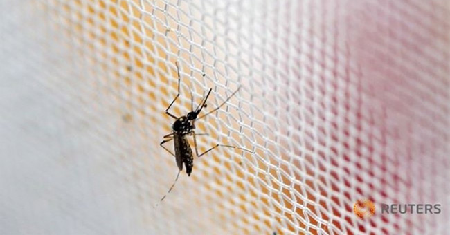 Picture 1 of South Korea confirmed the first Zika infection