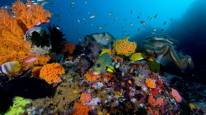 Picture 3 of Southeast Asia - 'hot spot' extinct
