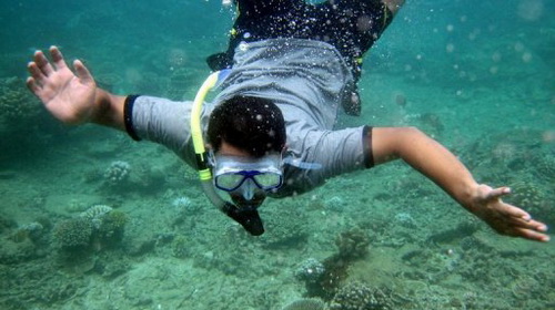 Picture 1 of Southeast Asia: mass death of corals