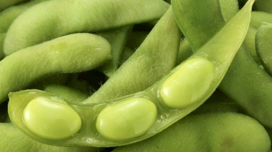Picture 1 of Soy compound helps treat HIV