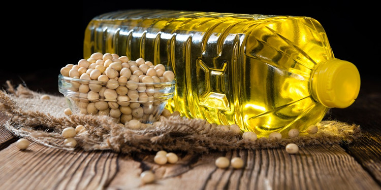 Picture 1 of Soybeans help prolong the life of breast cancer patients