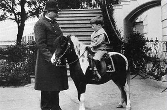Picture 3 of Special pets have been raised in the White House