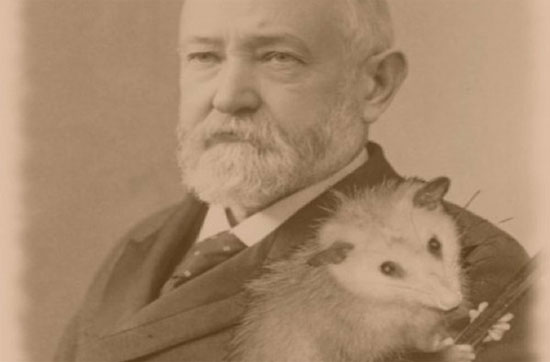 Picture 8 of Special pets have been raised in the White House