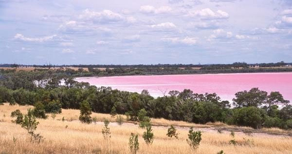 Picture 4 of Special pink lakes