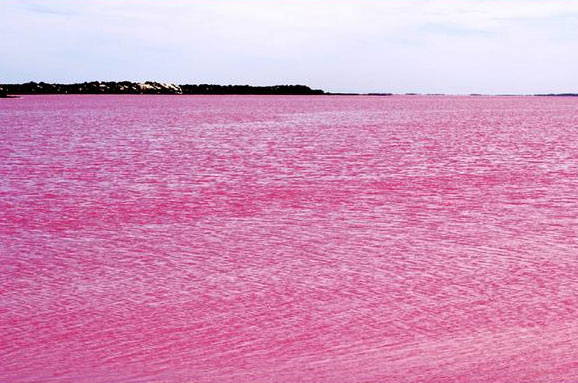 Picture 6 of Special pink lakes