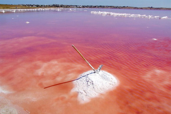 Picture 7 of Special pink lakes
