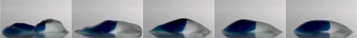 Picture 1 of Spectacular 2 drops of water combined in 15 milliseconds