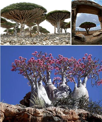 Picture 2 of Spectacular scenery on earth
