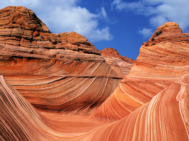 Picture 8 of Spectacular waves on the rocky mountains