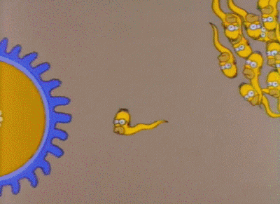 Picture 1 of Sperm will not touch the egg when humans use this compound