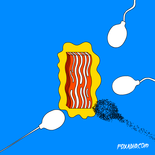 Picture 2 of Sperm will not touch the egg when humans use this compound