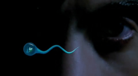 Picture 3 of Sperm will not touch the egg when humans use this compound