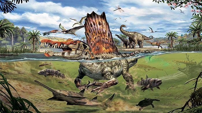 Picture 3 of Spinosaurus - grotesque dinosaurs: hunt fish like gods that can't swim!