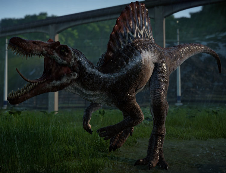 Picture 2 of Spinosaurus - The huge predatory dinosaur on Earth