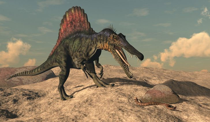 Picture 3 of Spinosaurus - The huge predatory dinosaur on Earth