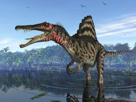 Picture 5 of Spinosaurus - The huge predatory dinosaur on Earth