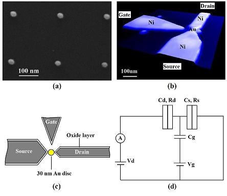 Picture 2 of Spintronic components - single electron transistors