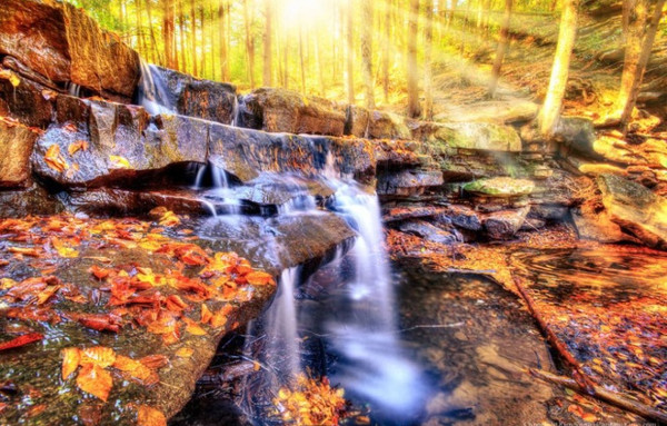 Picture 5 of Splendid collection throughout the United States