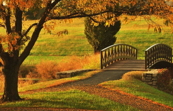 Picture 6 of Splendid collection throughout the United States