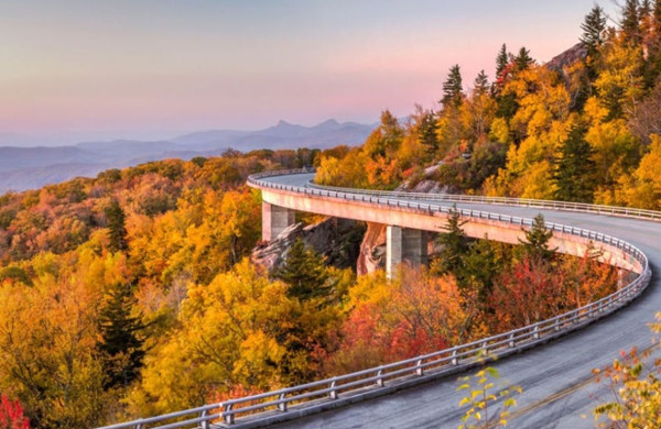 Picture 7 of Splendid collection throughout the United States