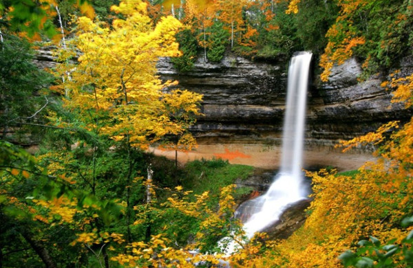 Picture 8 of Splendid collection throughout the United States