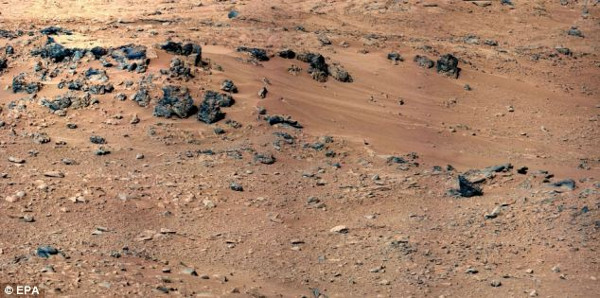 Picture 2 of Spot the mouse on Mars?