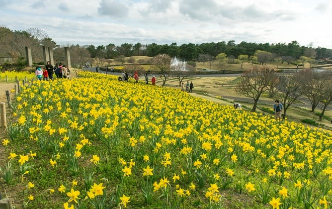 Picture 10 of Spring is full of flowers in Phu Tang