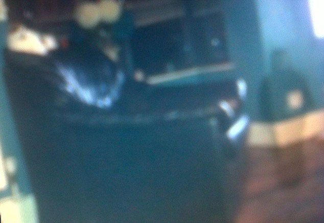 Picture 1 of Startled to see the specter of children in the house