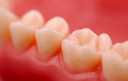 Picture 1 of Stem cell extract from teeth