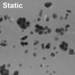 Picture 1 of Stem cells are suitable for swinging action